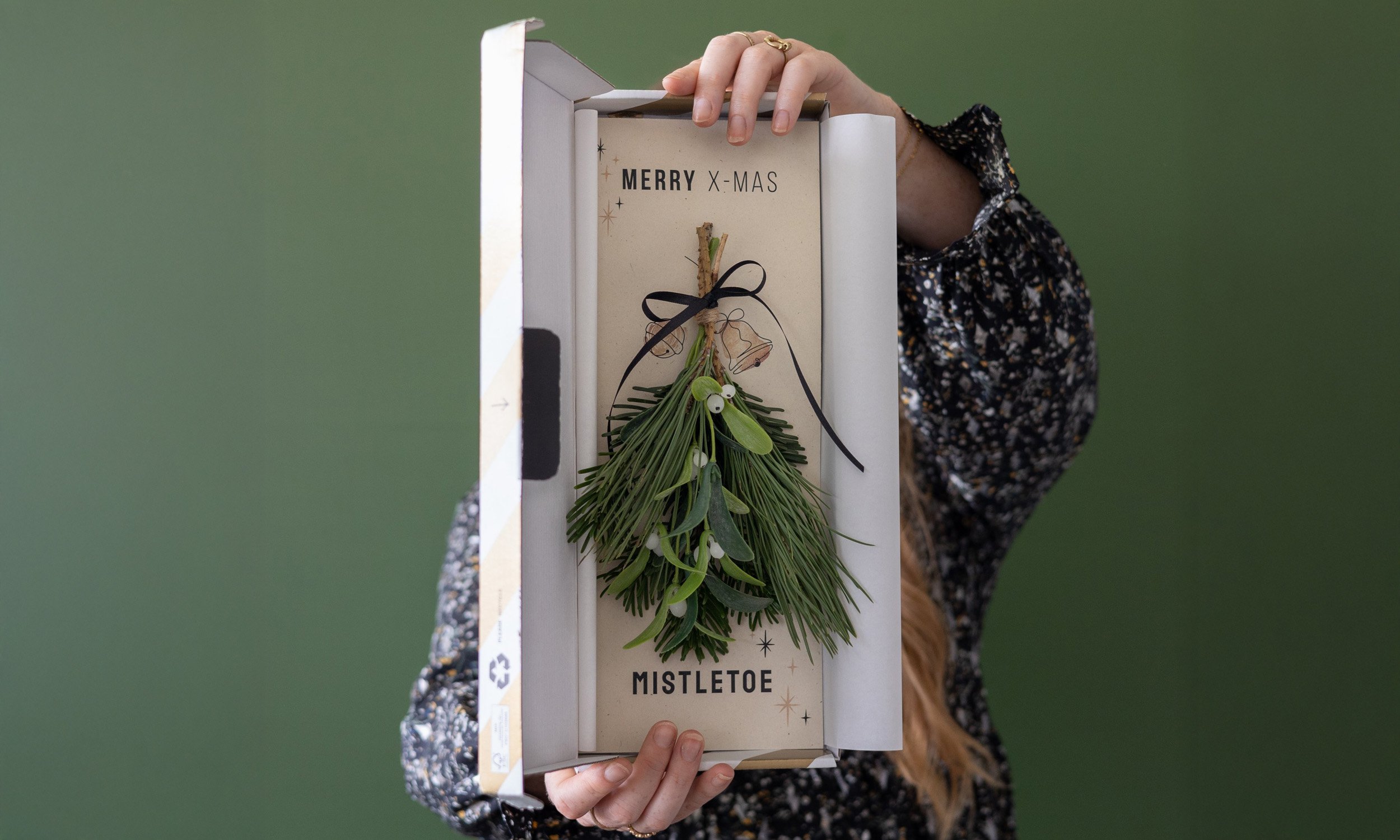 Mistletoe